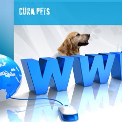 CURA PETS: new website